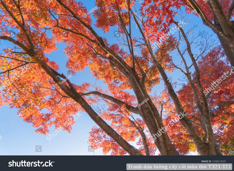 Tranh dán tường phong cảnh hồ thác, cây cối T321-552